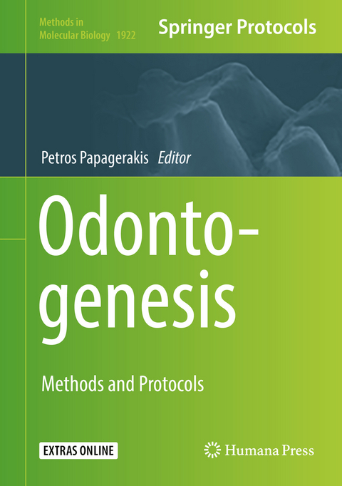 Odontogenesis - 