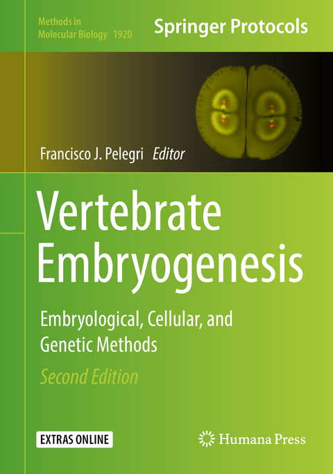 Vertebrate Embryogenesis - 
