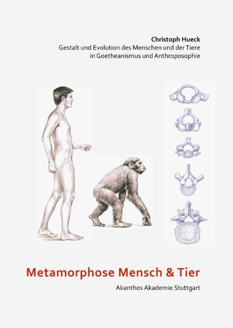 Metamorphose Mensch und Tier - Christoph Hueck