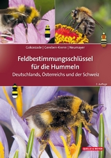 Feldbestimmungsschlüssel für die Hummeln Deutschlands, Österreichs und der Schweiz - Joseph Gokcezade, Barbara-Amina Gereben-Krenn, Johann Neumayer