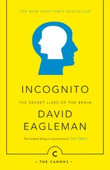 Incognito -  David Eagleman