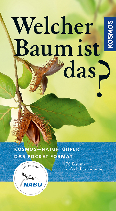 Welcher Baum ist das? - Joachim Mayer