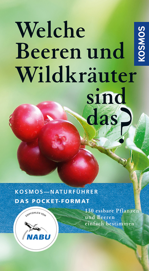 Welche Beeren und Wildkräuter sind das? - Eva-Maria Dreyer