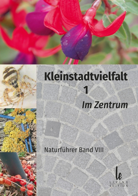 Kleinstadtvielfalt 1 - 