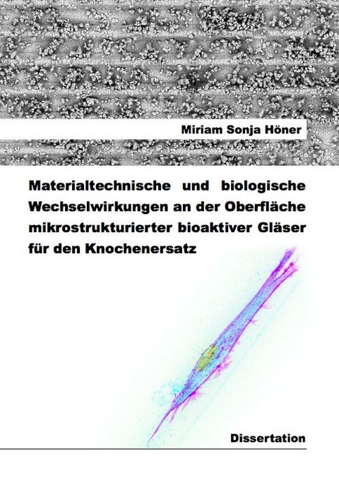 Materialtechnische und biologische Wechselwirkungen an der Oberfläche mikrostrukturierter bioaktiver Gläser für den Knochenersatz - Miriam Sonja Höner