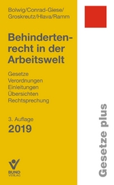 Behindertenrecht in der Arbeitswelt - Nils Bolwig, Maren Conrad-Giese, Henning Groskreutz, Daniel Hlava, Diana Ramm