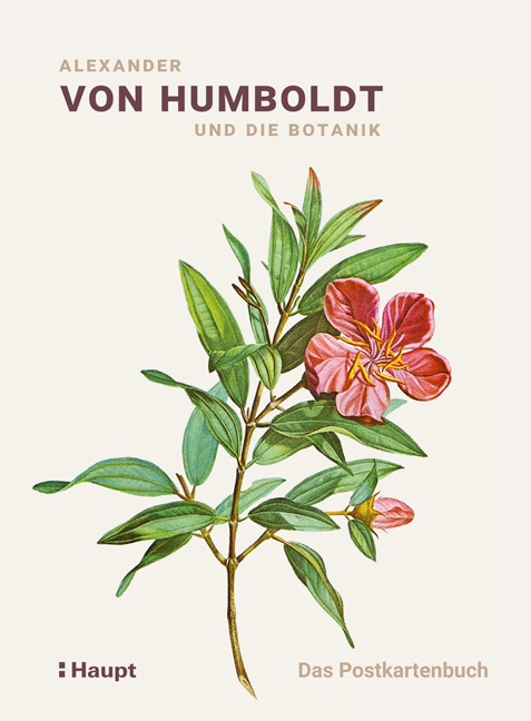 Alexander von Humboldt und die Botanik - Das Postkartenbuch - 