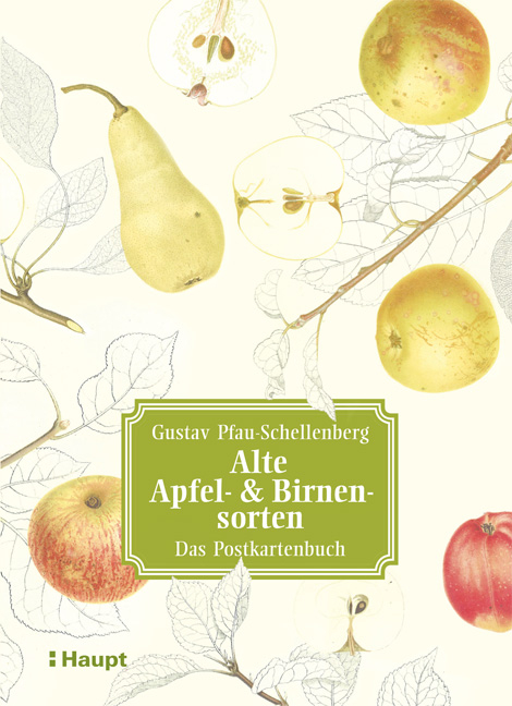 Alte Apfel- & Birnensorten - Das Postkartenbuch - Gustav Pfau-Schellenberg