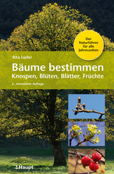 Bäume bestimmen - Knospen, Blüten, Blätter, Früchte - Lüder, Rita