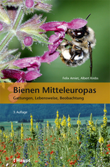 Bienen Mitteleuropas - Felix Amiet, Albert Krebs, Andreas Müller