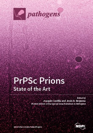 PrPSc prions: State of the Art