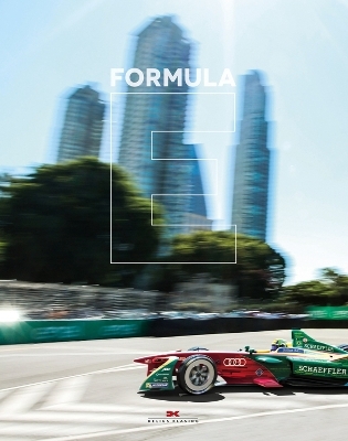 Formula E - Jörg Walz