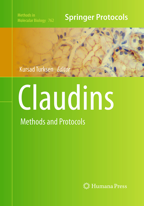 Claudins - 