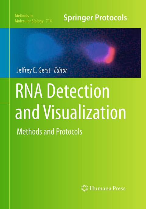 RNA Detection and Visualization - 
