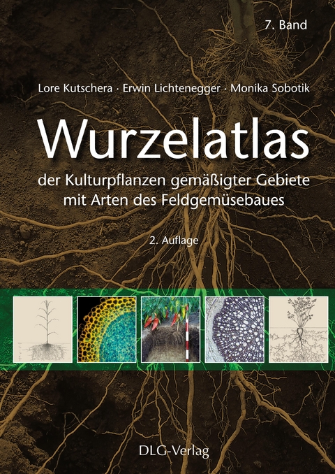 Wurzelatlas der Kulturpflanzen gemäßigter Gebiete mit Arten des Feldgemüsebaues - Lore Kutschera, Erwin Lichtenegger, Monika Sobotik