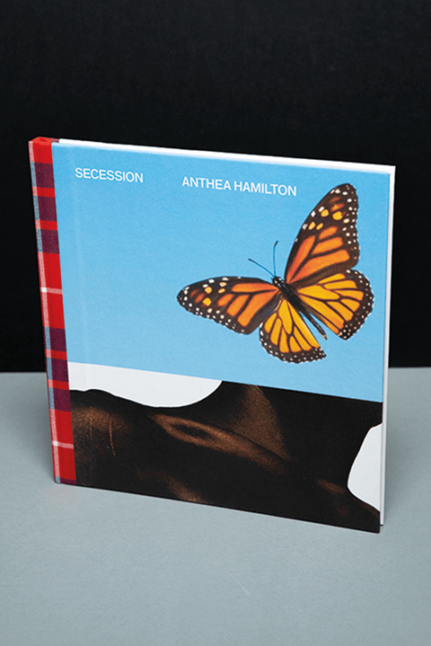 Anthea Hamilton - Anthea Hamilton