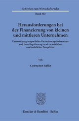 Herausforderungen bei der Finanzierung von kleinen und mittleren Unternehmen. - Constantin Rolke