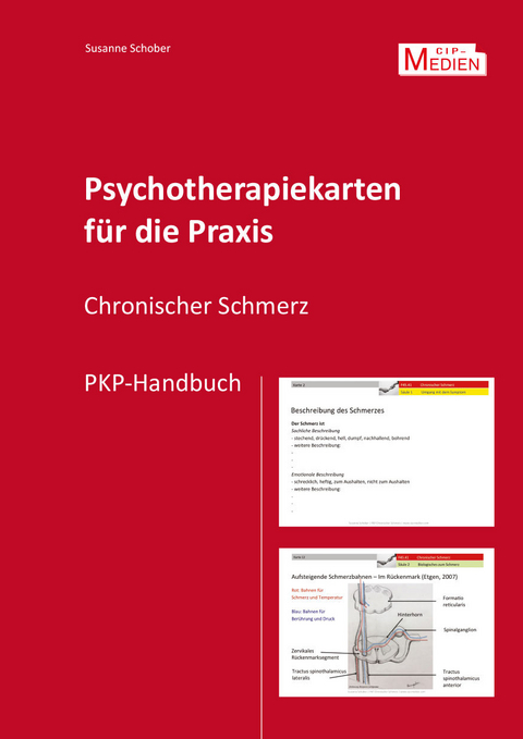 Psychotherapiekarten für die Praxis – Chronischer Schmerz - Susanne Schober