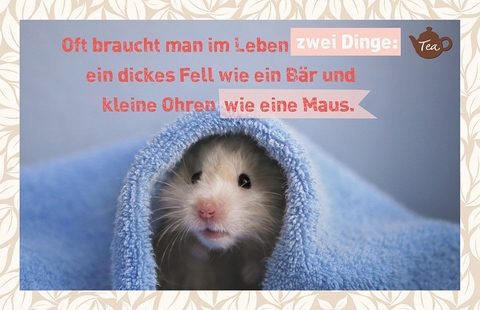 Oft braucht man im Leben zwei Dinge: Ein dickes Fell, wie ein Bär und kleine Ohren, wie eine Maus.