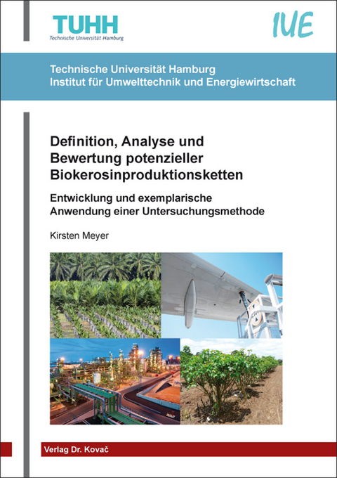 Definition, Analyse und Bewertung potenzieller Biokerosinproduktionsketten - Kirsten Meyer