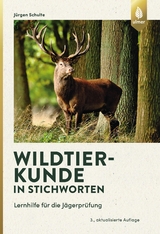 Wildtierkunde in Stichworten - Schulte, Jürgen