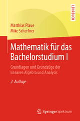Mathematik für das Bachelorstudium I - Plaue, Matthias; Scherfner, Mike