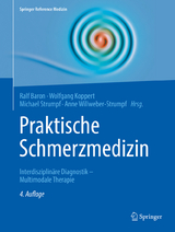 Praktische Schmerzmedizin - Baron, Ralf; Koppert, Wolfgang; Strumpf, Michael; Willweber-Strumpf, Anne