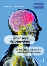 Gehirn und Nervensystem - Weninger, Wolfgang