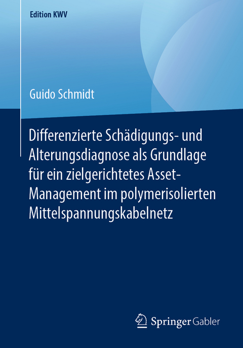 Differenzierte Schädigungs- und Alterungsdiagnose als Grundlage für ein zielgerichtetes Asset-Management im polymerisolierten Mittelspannungskabelnetz - Guido Schmidt