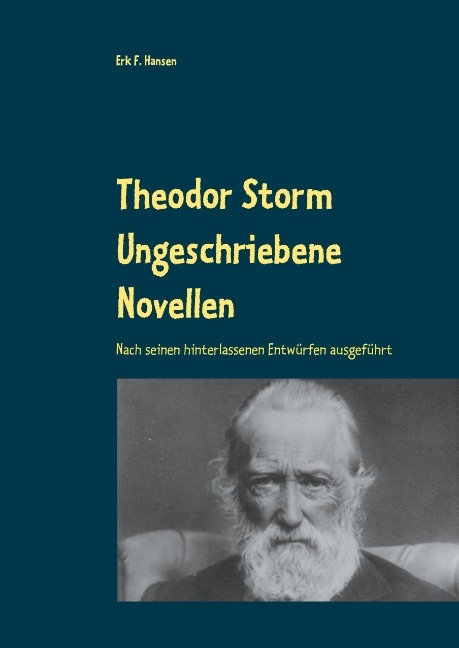 Theodor Storm Ungeschriebene Novellen - Erk F. Hansen