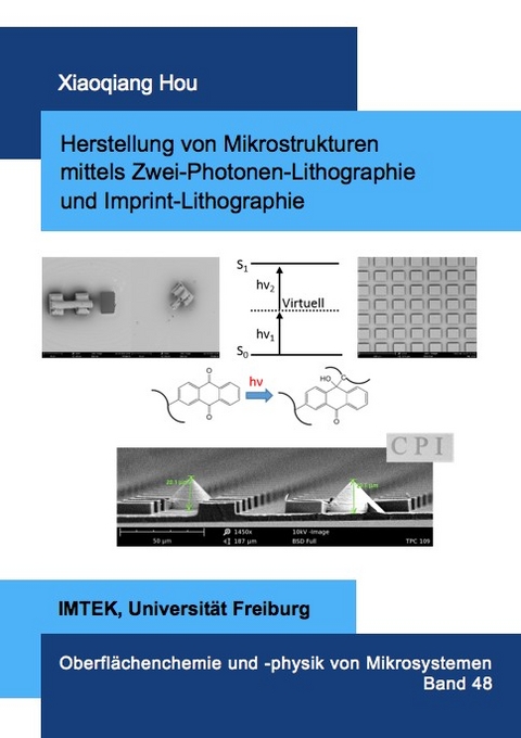 Herstellung von Mikrostrukturen mittels Zwei-Photonen-Lithographie und Imprint-Lithographie - Xiaoqiang Hou