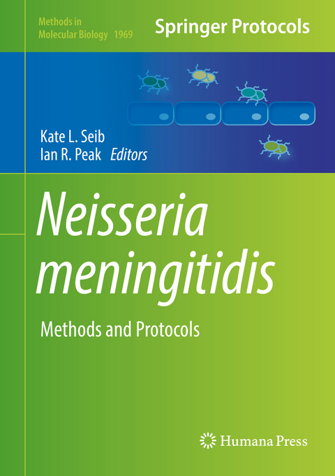 Neisseria meningitidis - 