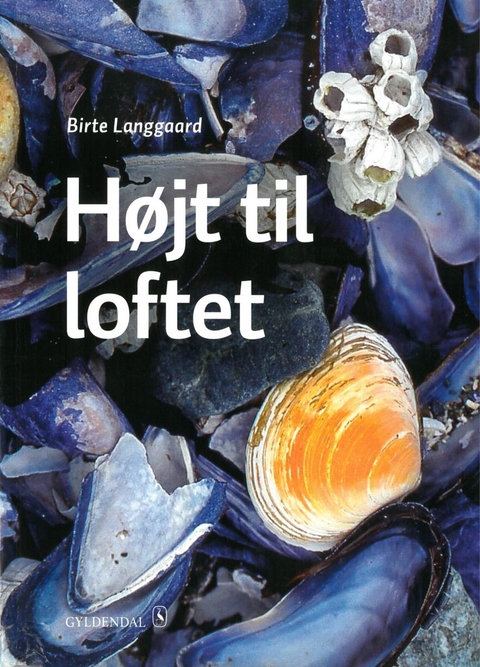 Højt til loftet B2