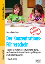 Der Konzentrations-Führerschein - Bernd Wehren