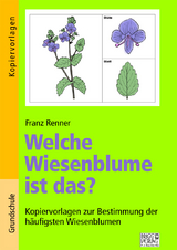 Welche Wiesenblume ist das? - Franz Renner