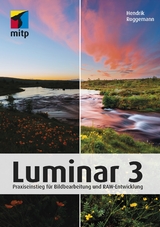 Luminar 3 - Hendrik Roggemann