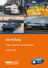 Gb-Prüfung inklusive E-Book - Holzhäuser, Jörg; Ridder, Klaus; Meyer, Irena