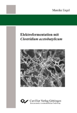 Elektrofermentation mit Clostridium acetobutylicum - Mareike Engel