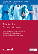Arbeiten im Gesundheitswesen - Peter Angerer, Harald Gündel, Stephan Brandenburg, Albert Nienhaus, Stephan Letzel, Dennis Nowak