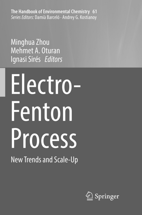 Electro-Fenton Process - 