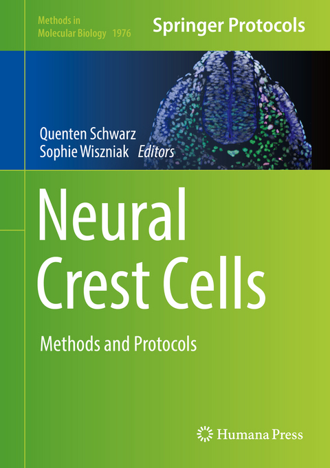 Neural Crest Cells - 