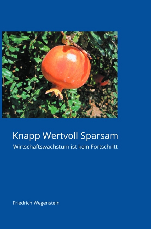 Knapp Wertvoll Sparsam - Friedrich Wegenstein