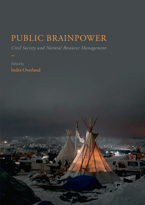 Public Brainpower - 