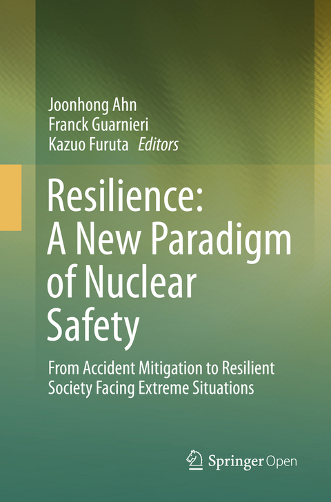 Resilience: A New Paradigm of Nuclear Safety - 