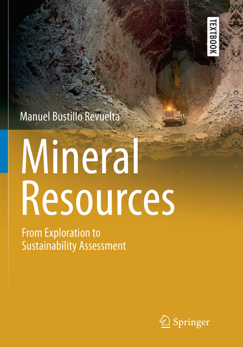 Mineral Resources - Manuel Bustillo Revuelta