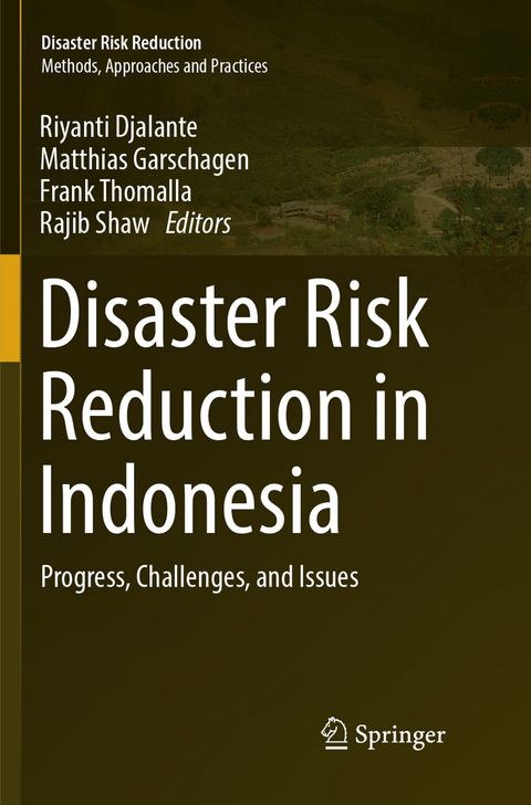 Disaster Risk Reduction in Indonesia - 