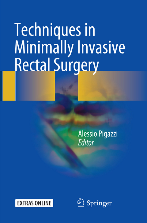 Techniques in Minimally Invasive Rectal Surgery - 