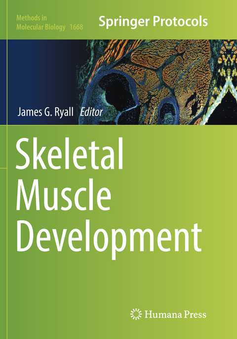 Skeletal Muscle Development - 