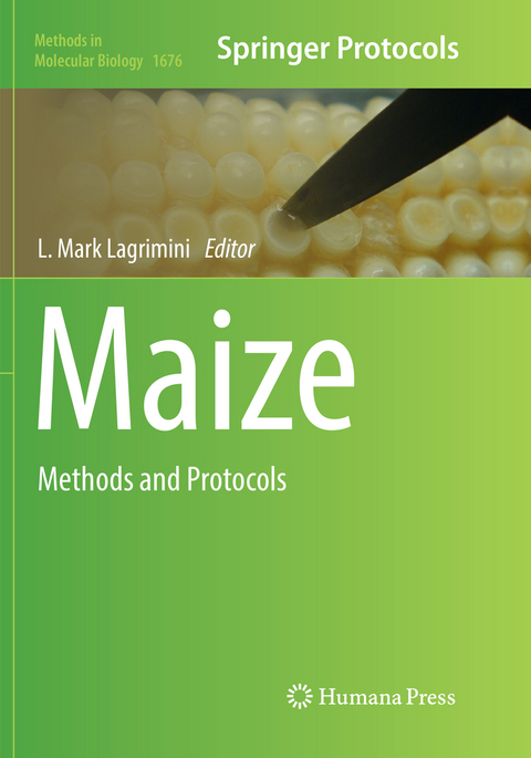 Maize - 