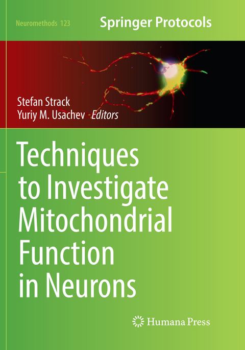 Techniques to Investigate Mitochondrial Function in Neurons - 